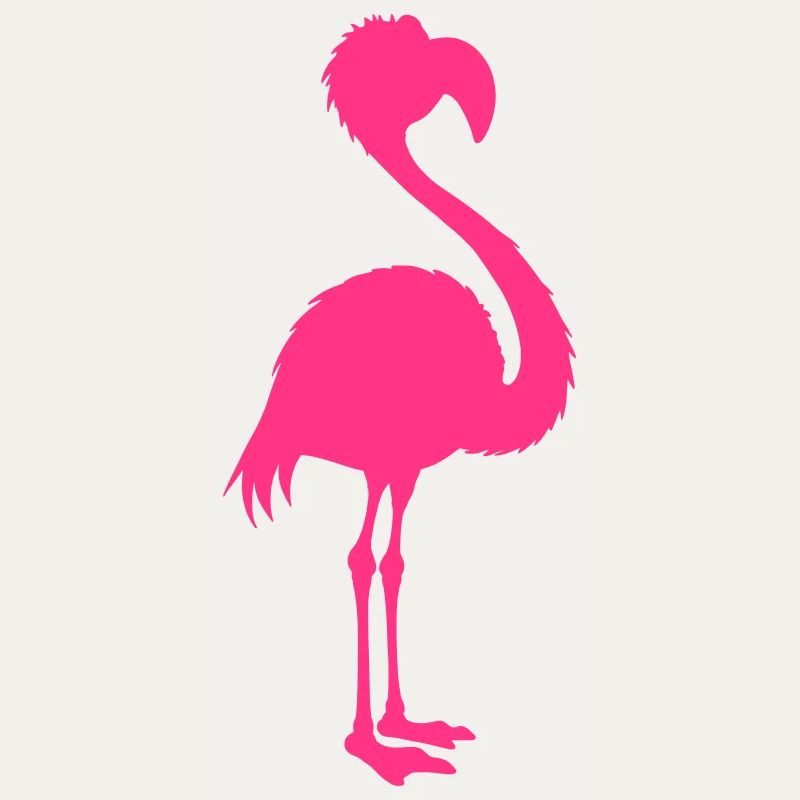 Flamingo Vector Silhouette Costume Bird