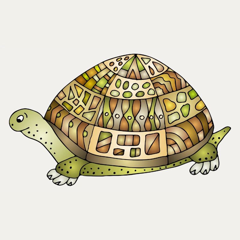 Tortoise