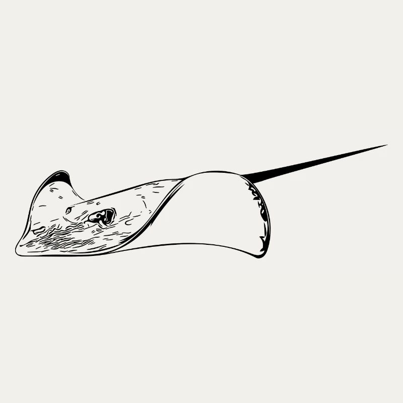 Stingrays in elegant flight