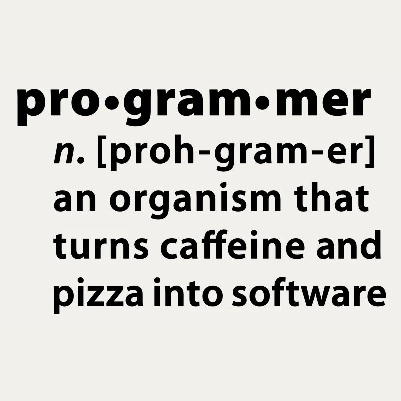 Programmdefinition - die Definition Programmer
