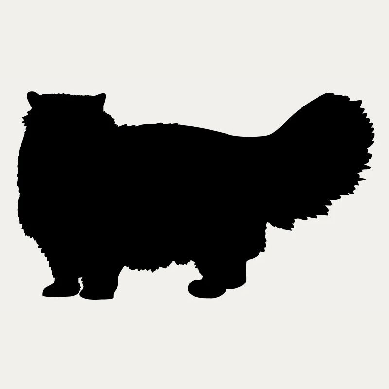 Chat persan