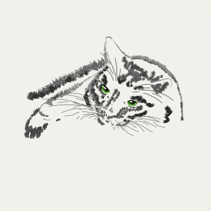 Schwarze Katze