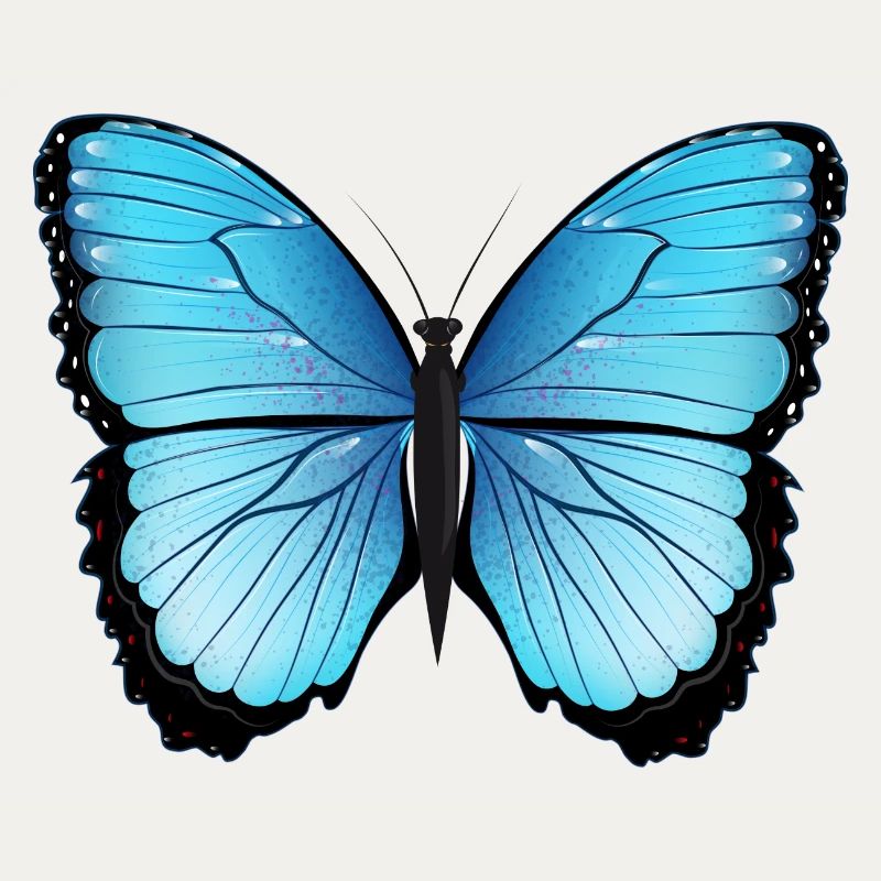 papillon bleu dessiné à la main et coloré