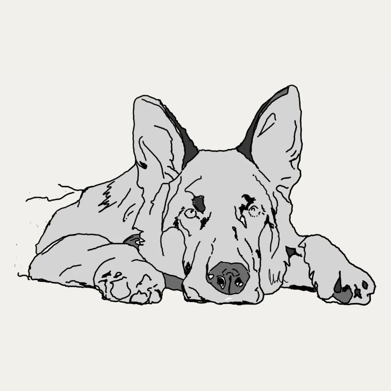 Schäferhund