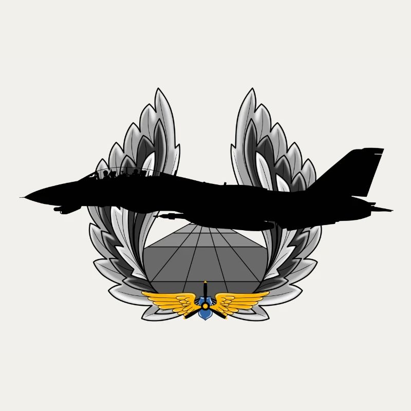 F-14 Tomcat