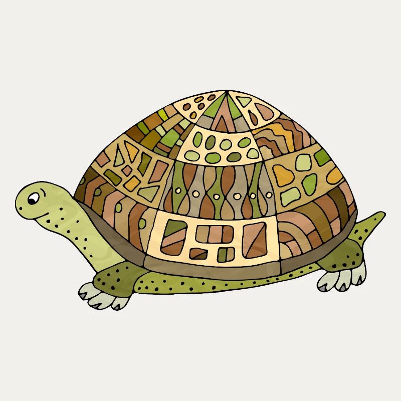tortoise