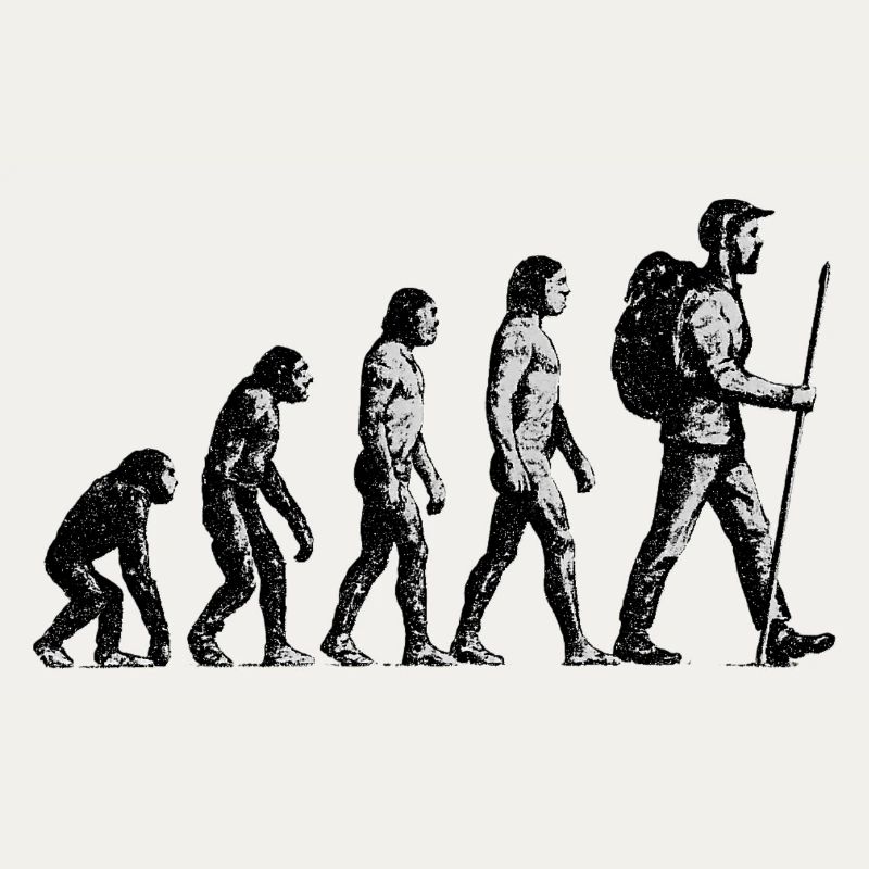 Evolution to Wandersmann Grunge Design