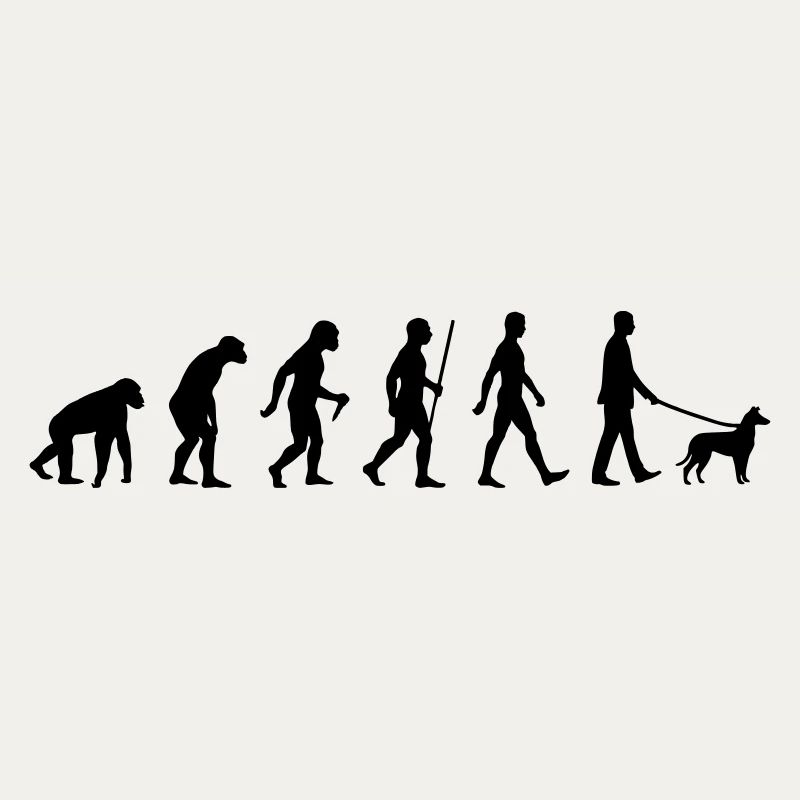 Evolution smooth collie man