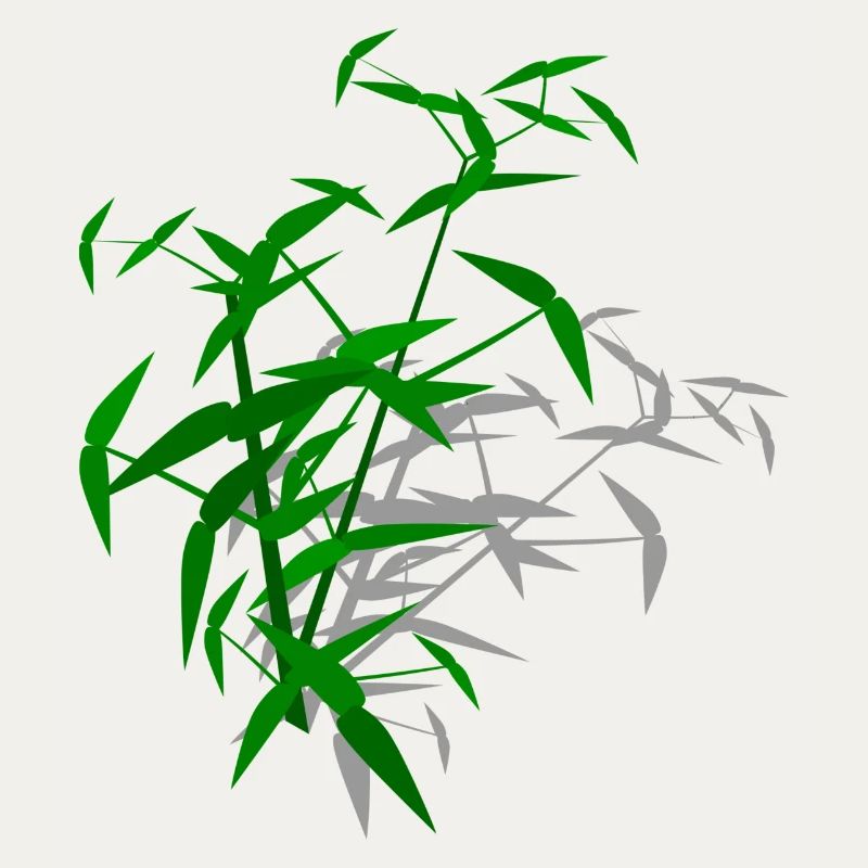 Bamboo with shadow