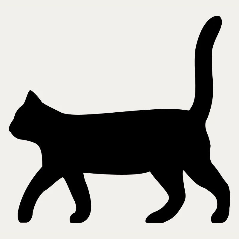 Chat noir