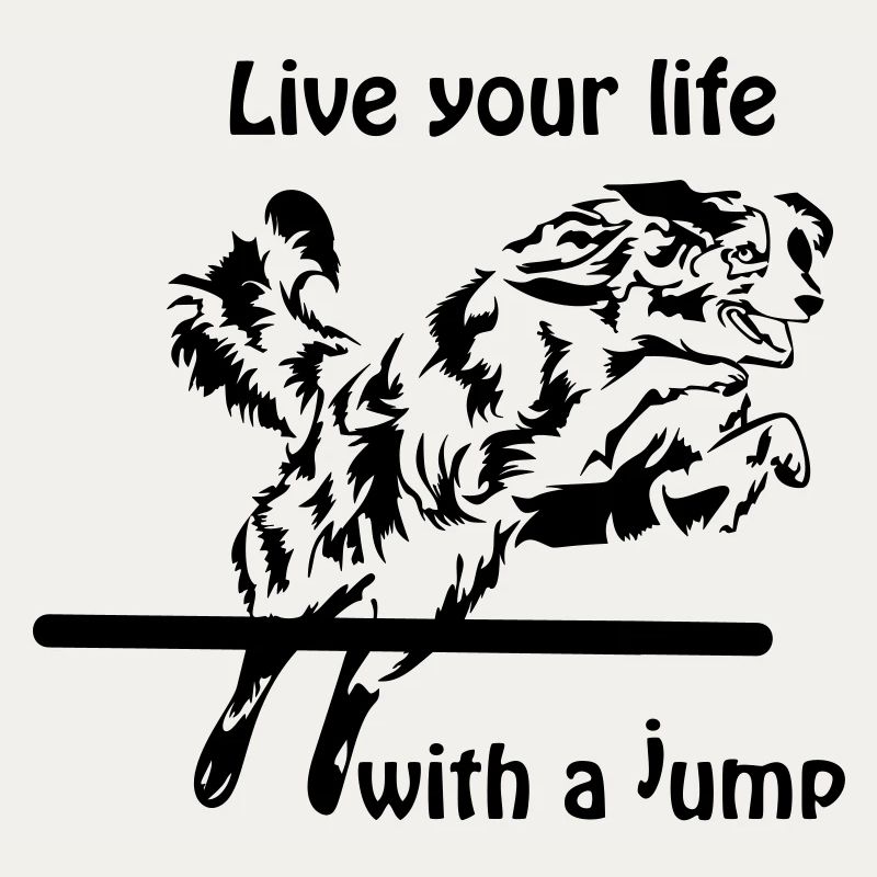 Agility Australian Shepherd Aussie