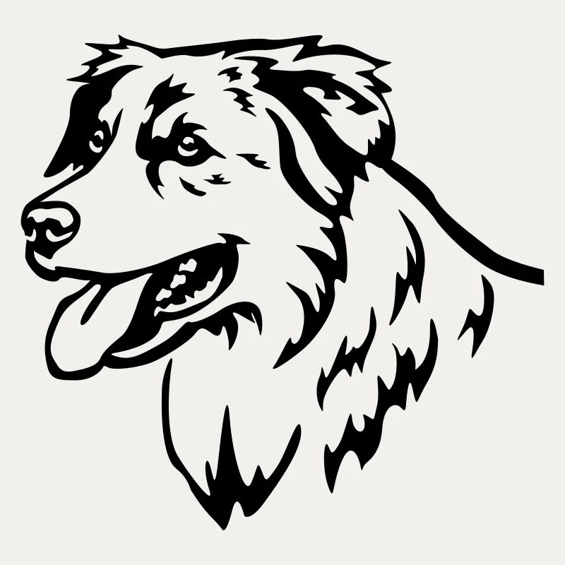 Australian Shepherd Head