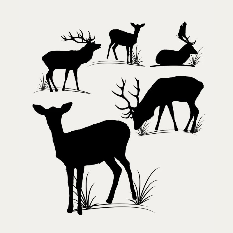 Deer, roe deer, fallow deer, fallow deer, roebuck