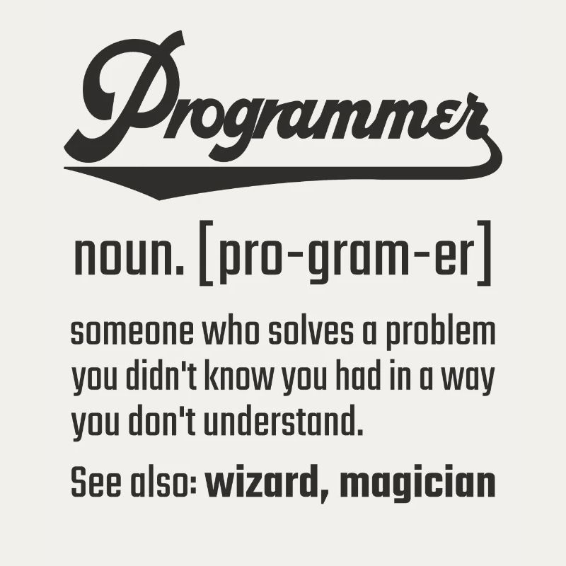 Programmer programmer noun noun definition
