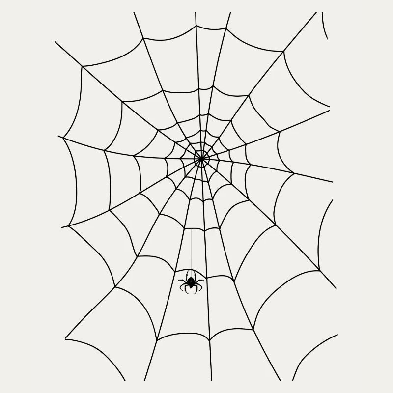 Spider web, spider, spider in the web