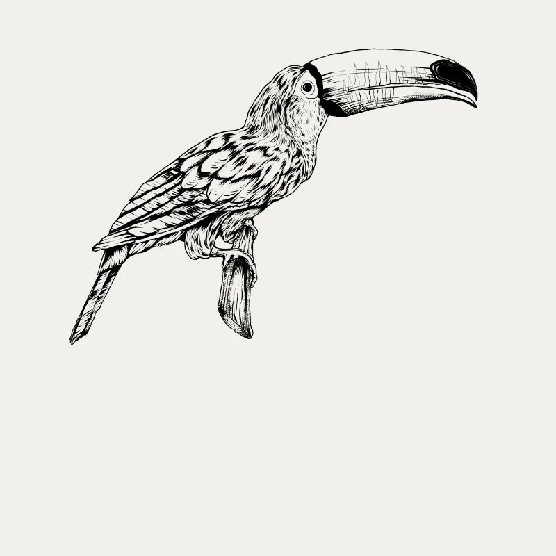 Stroke Drawing - Toucan