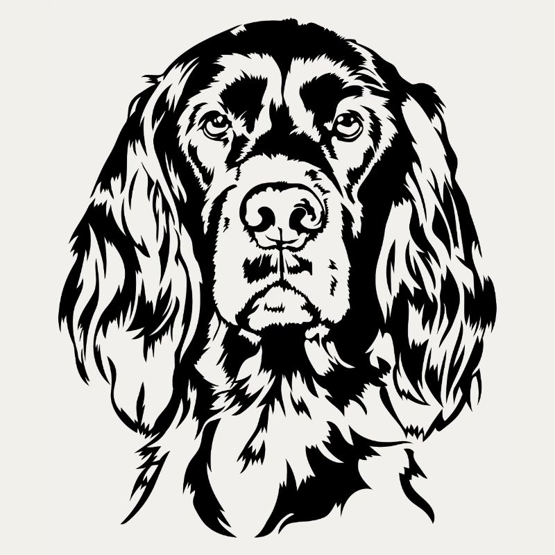 Irish Setter Jagdhund Jagdhunde Hunde Wilsigns