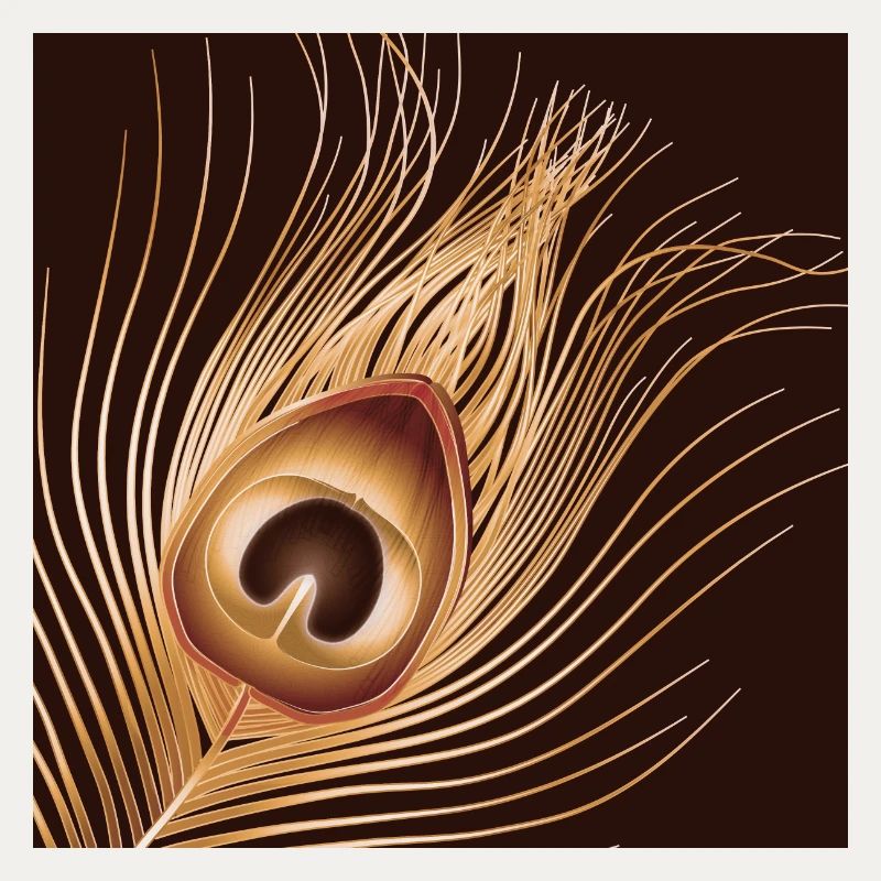 plume de paon dorée dessinée à la main