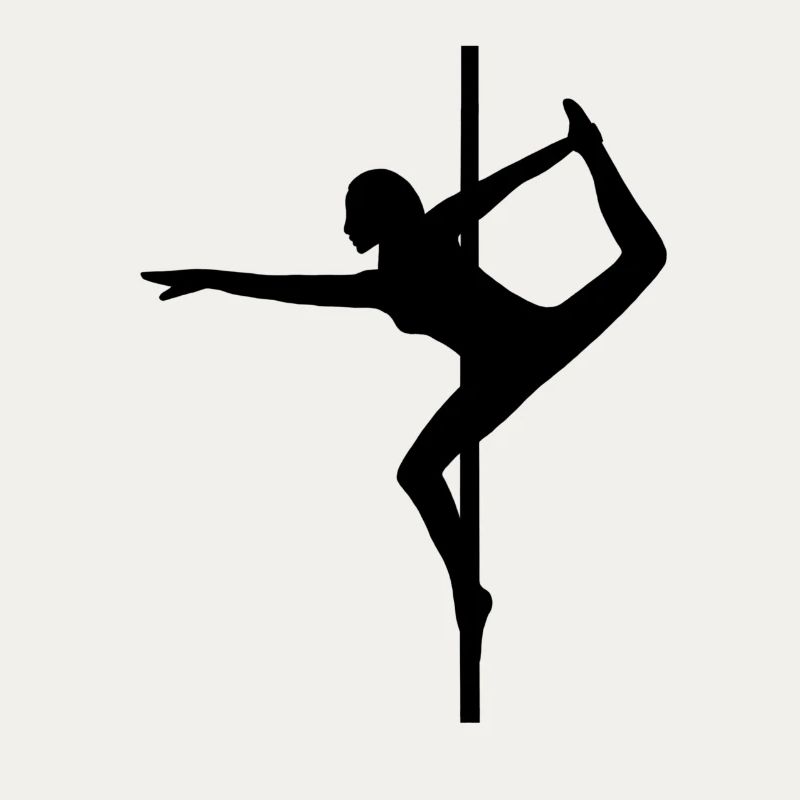 Pole Dance Pole