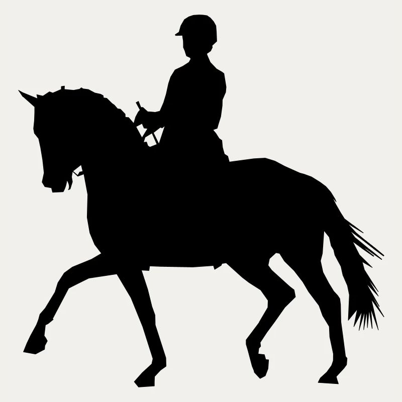 Reiterin mit Pferd