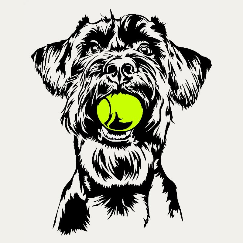 Schnauzer géant Schnauzer chien chien Wilsigns