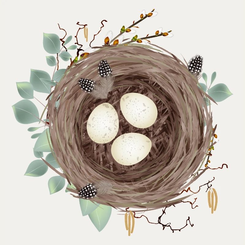Bird's nest or Easter nest with three eggs and feathers