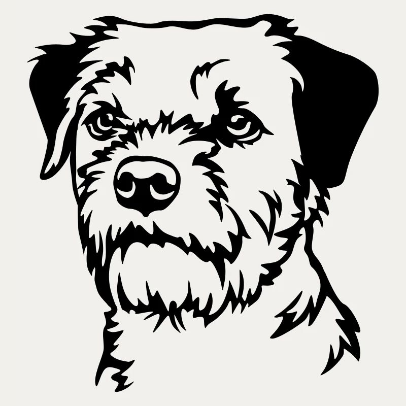 Border Terrier Head
