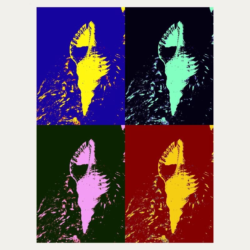 Mediterranean shellfish