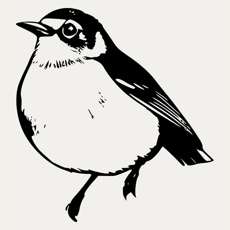 Vogel schwarz schwarzer Vogel