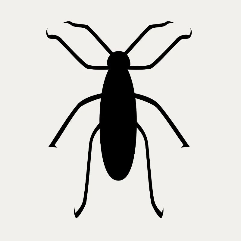 insecte