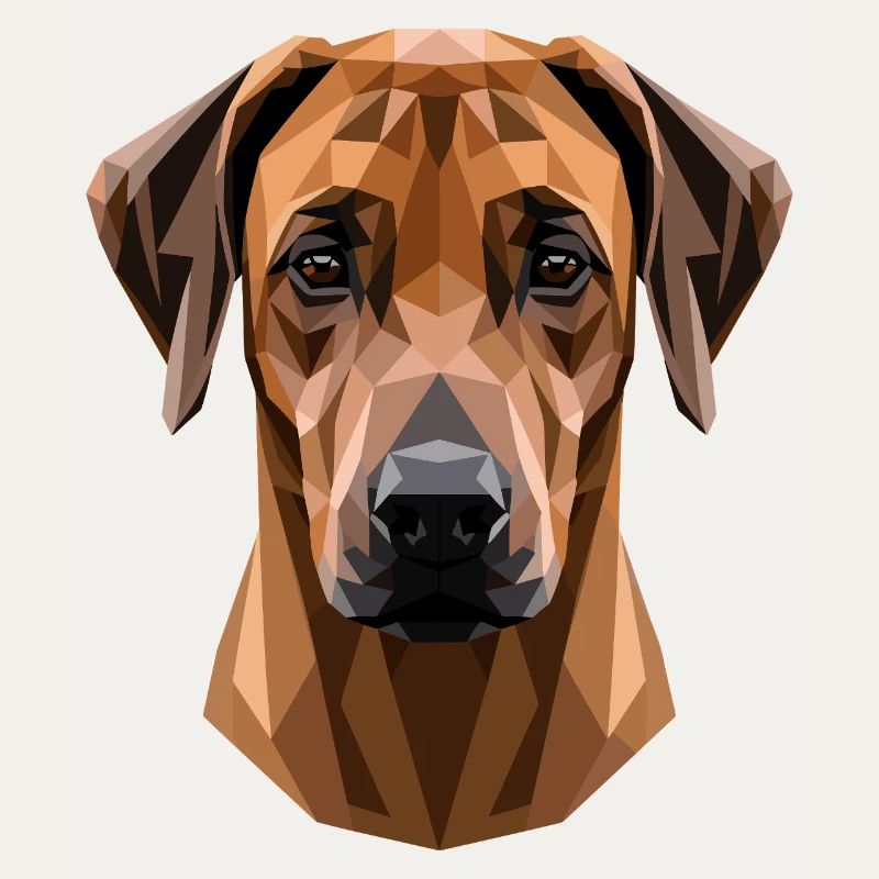 Rhodesian Ridgeback Jagdhund Hunde Stolz Ridgeback