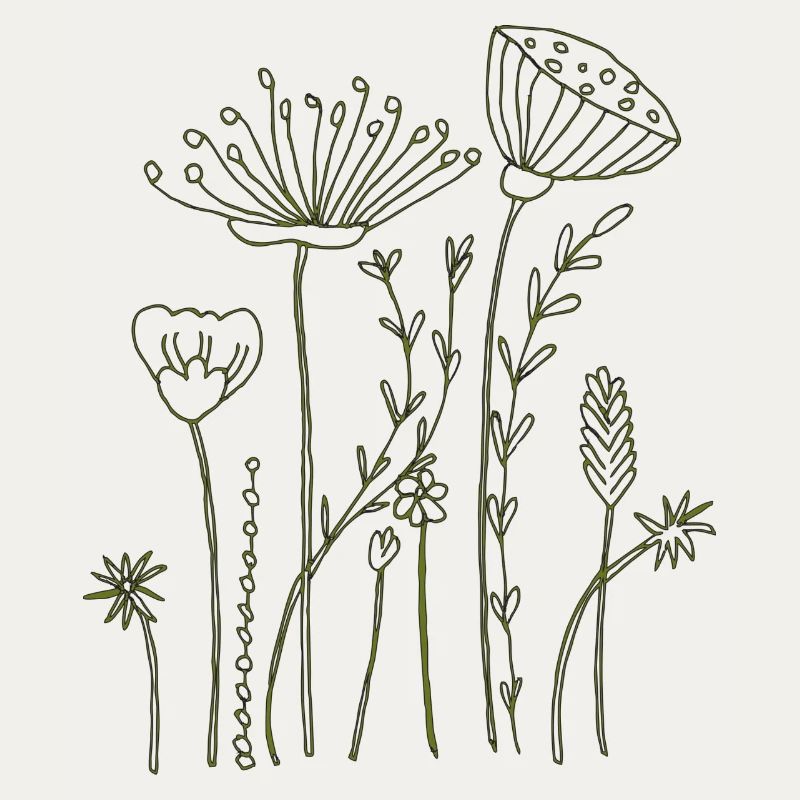Fleurs séchées