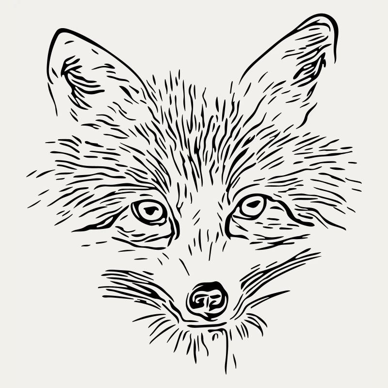 Fox Face - Fox Face