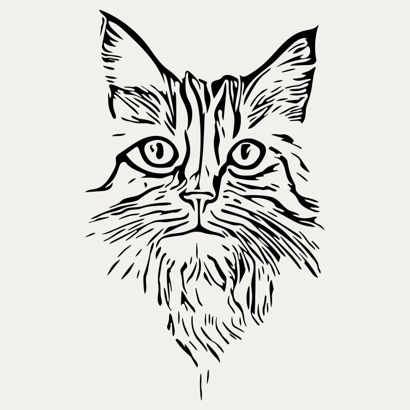 Katze - Vector