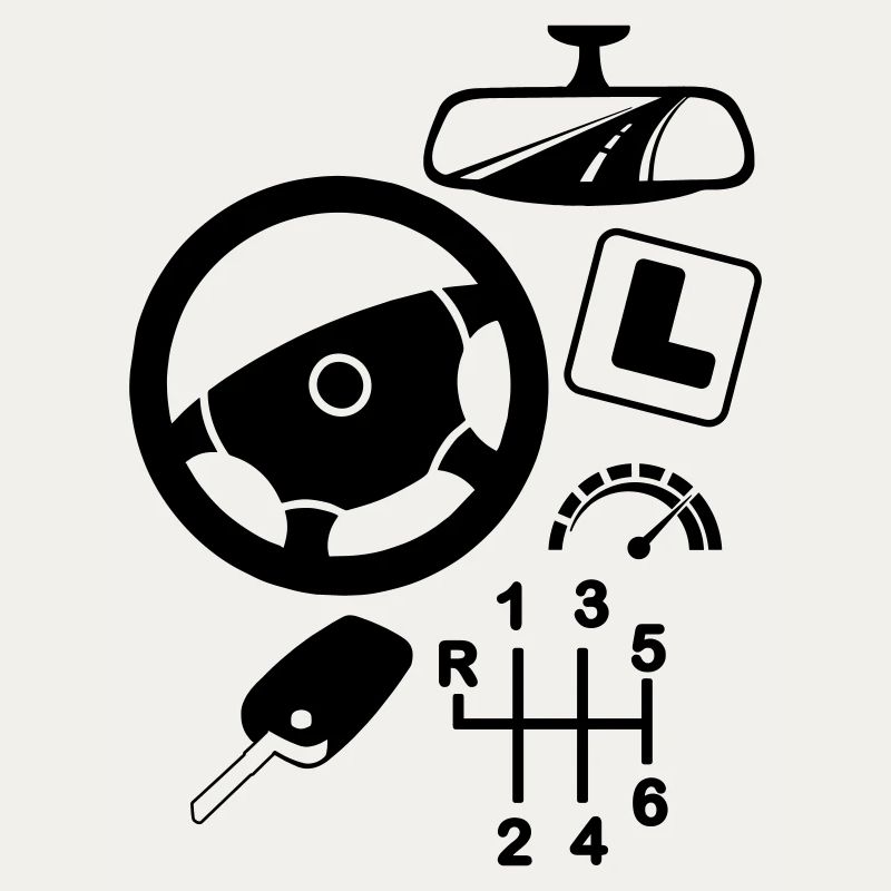 logo Car driving instructor
