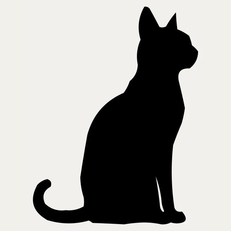 Katze Tier