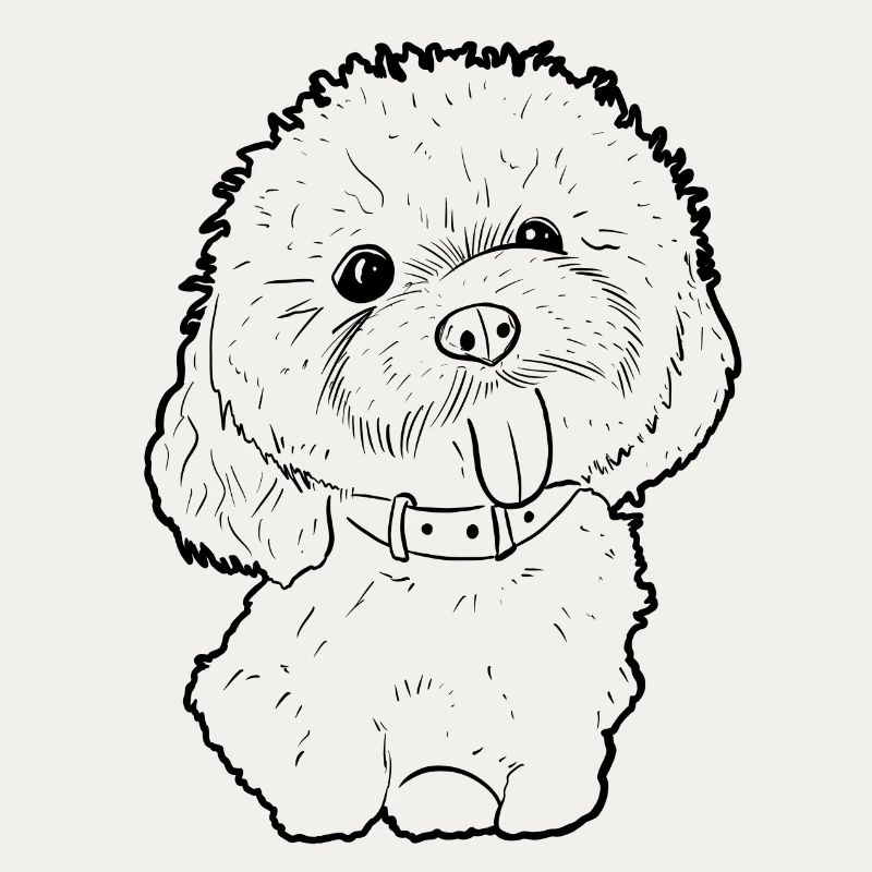 Maltese