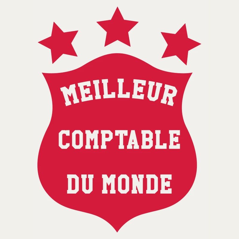 Accountant / Accounting / Comptable / Comptabilité