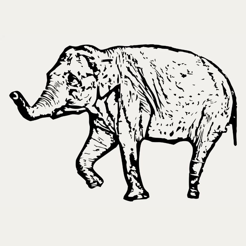 Elephant black