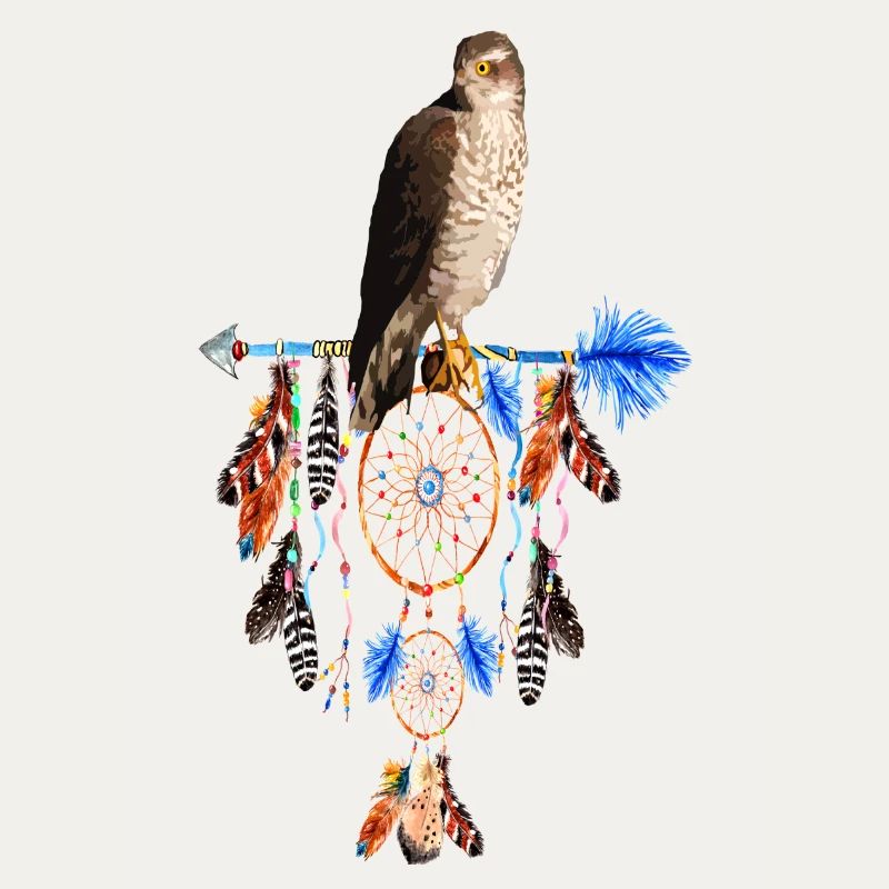 falcon dream acchiappasogni mistici