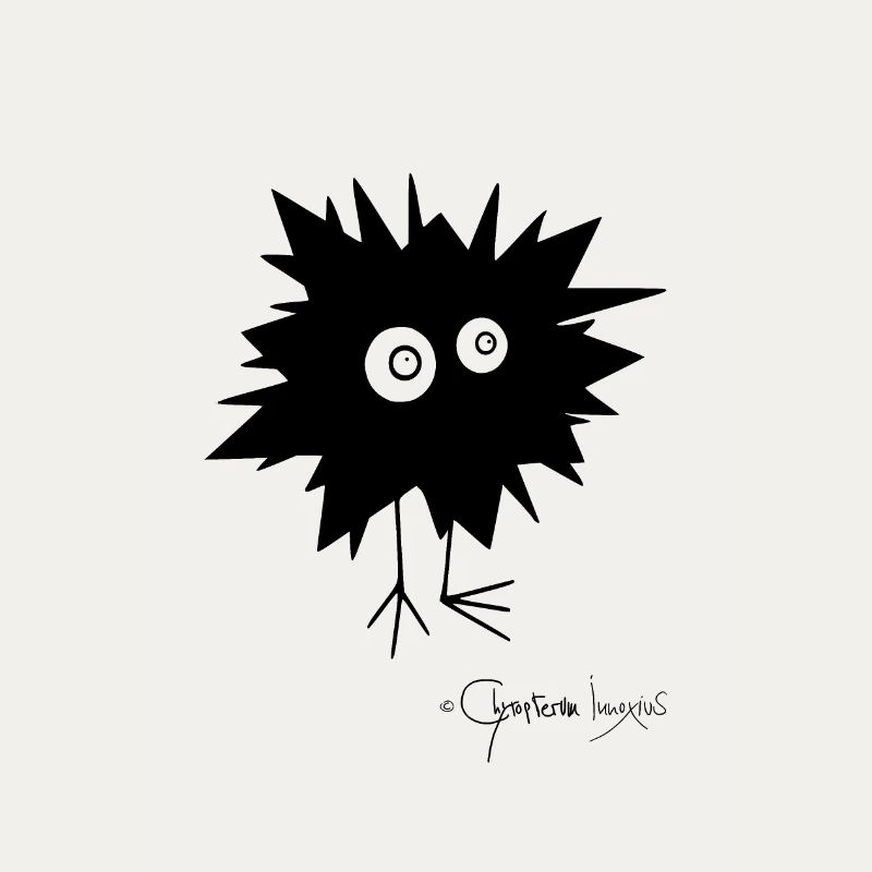Woolly Beastie flashed © Chyropterum Innoxius