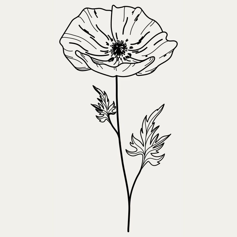 Fleur de coquelicot 13 Plan de travail 5