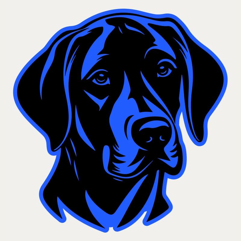 Labrador Hund Kopf