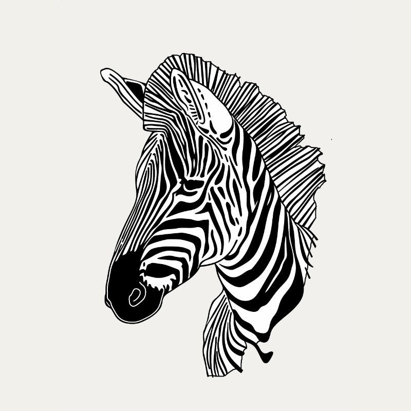 Linien Kunst Zebra #zebra