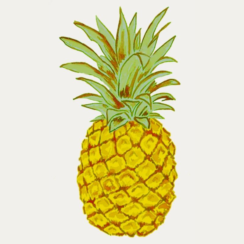 Ripe Pineapple Yellow Stylized Drawing