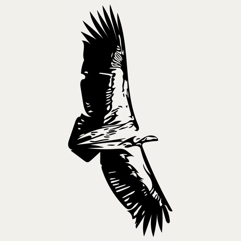 Vulture in flight