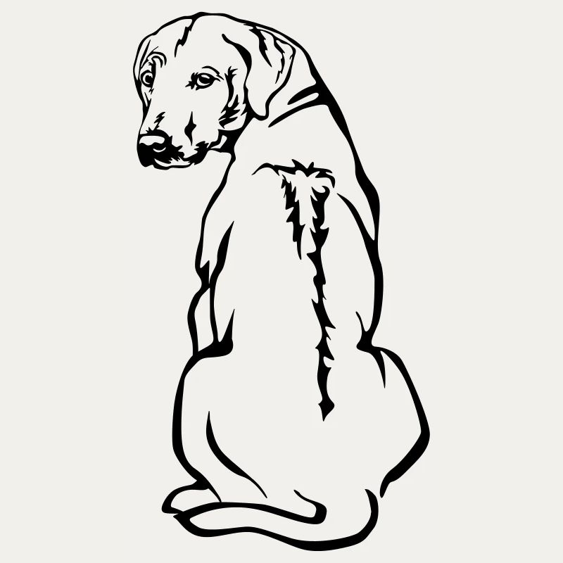 Rhodesian Ridgeback