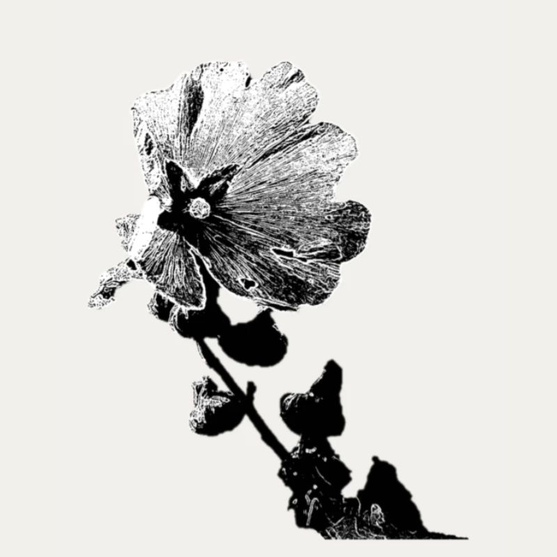 fleur