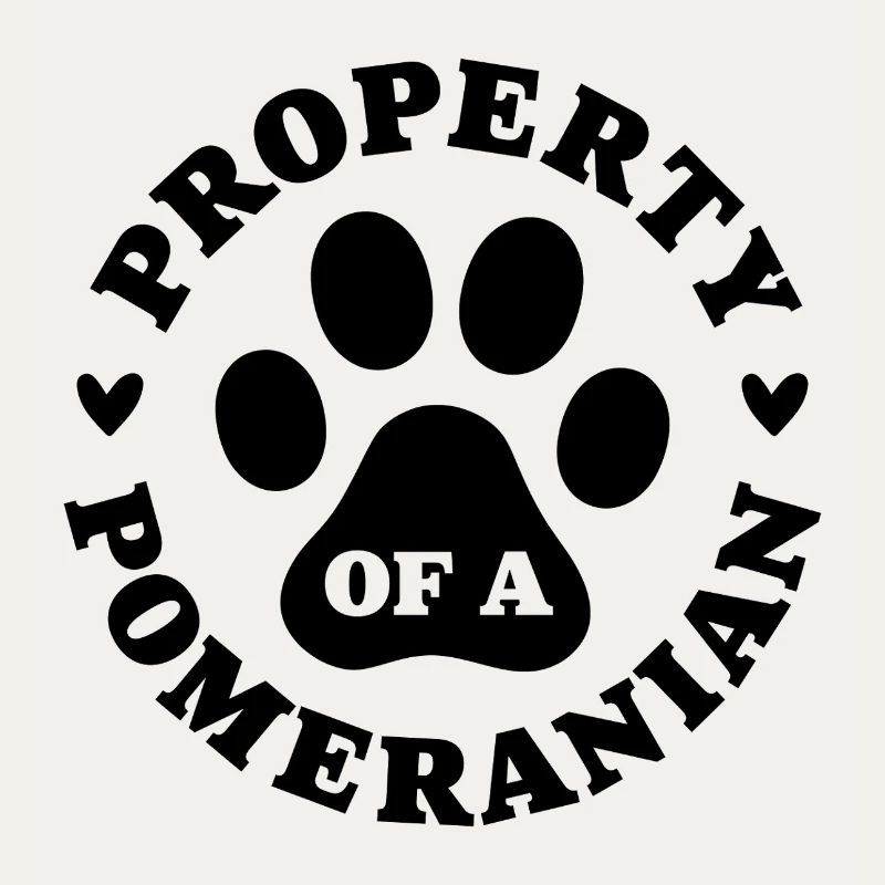 Eigentum eines Zwergspitzs