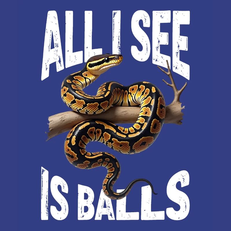 Python roi Serpents Amateurs de terrarium Python